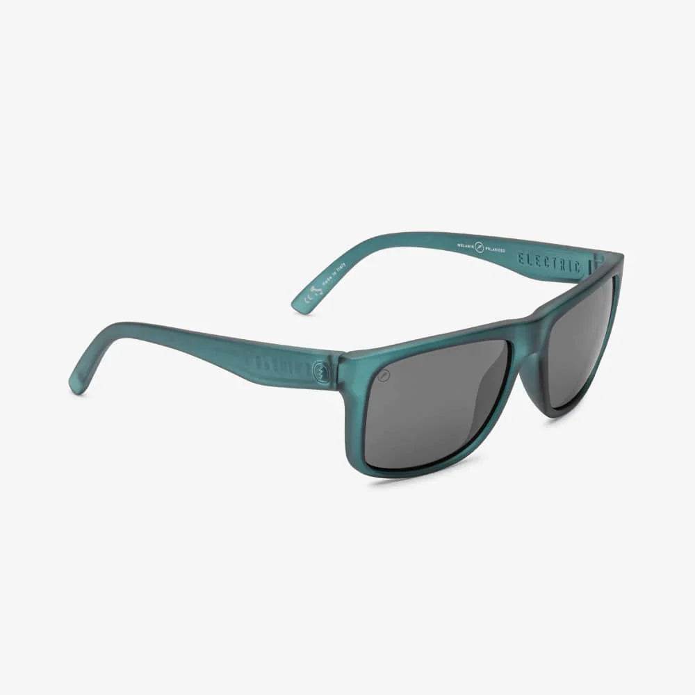 Electric swingarm xl polarized online