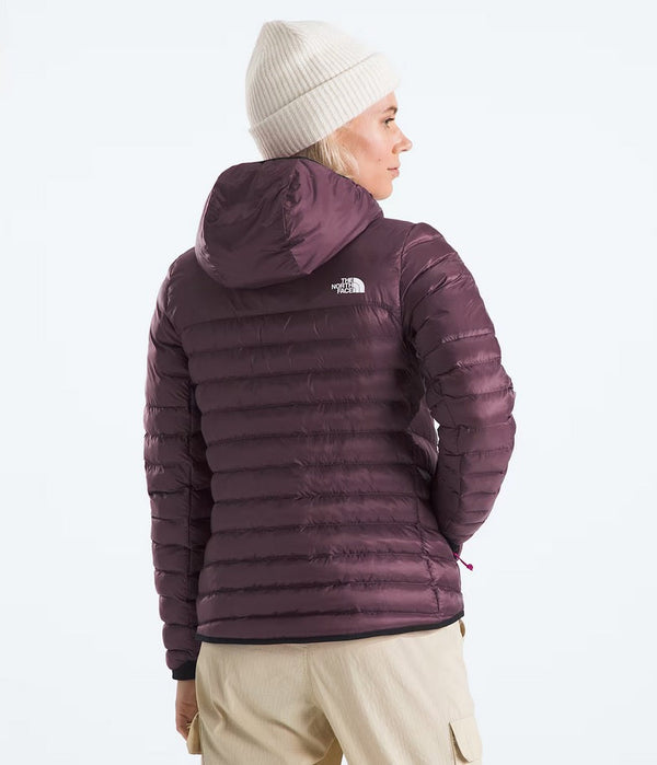 The North Face Terra Peak Hoodie - Women's