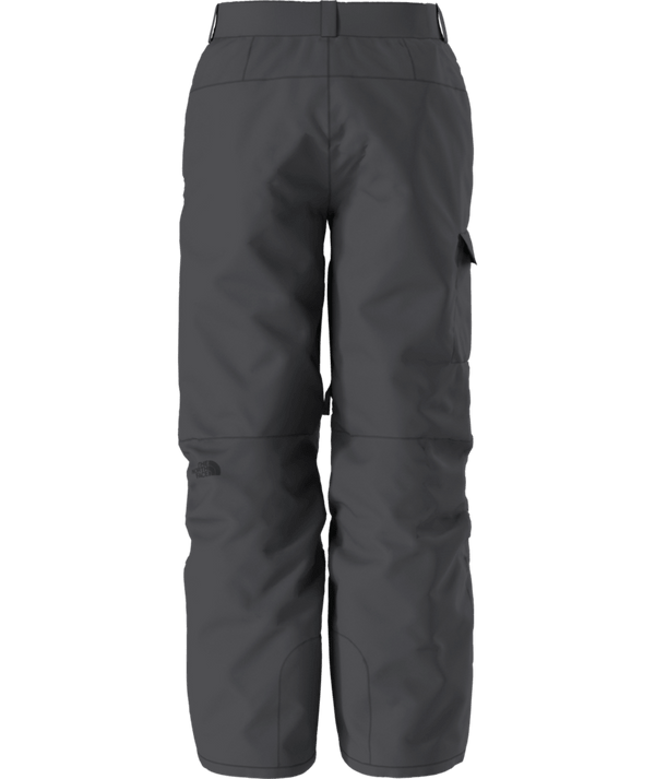 The North Face Freedom Snow Pant - Men's