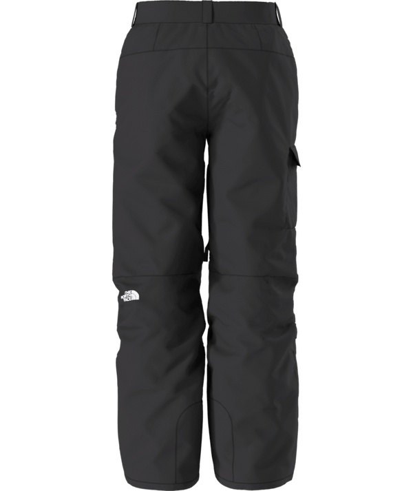 The North Face Freedom Snow Pant - Men's