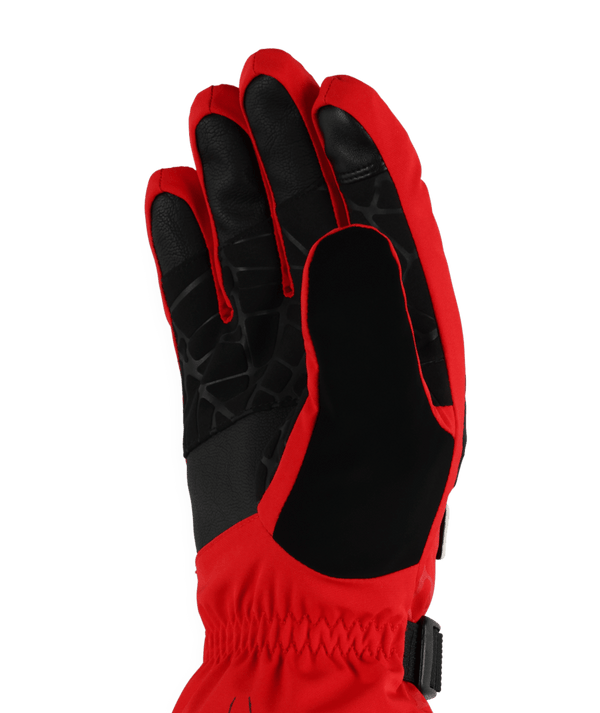 Spyder Overweb Gore-Tex Ski Gloves - Men's